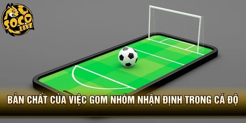 Bản chất của việc gom nhóm nhận định trong cá độ