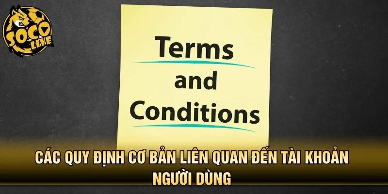 Các quy định cơ bản liên quan đến tài khoản người dùng