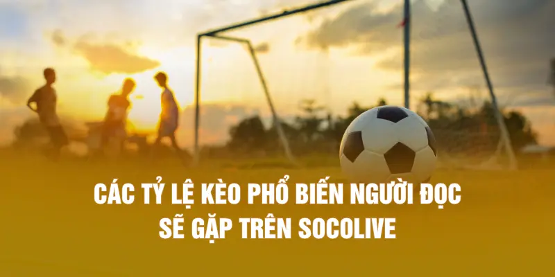 Các tỷ lệ kèo phổ biến người đọc sẽ gặp trên SOCOLIVE