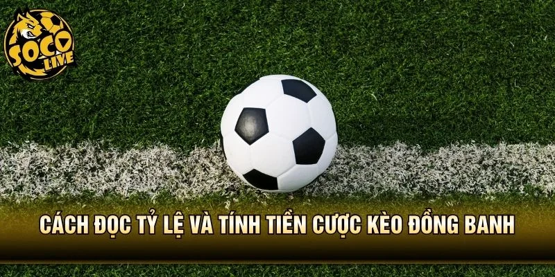 Cách đọc tỷ lệ và tính tiền cược kèo đồng banh