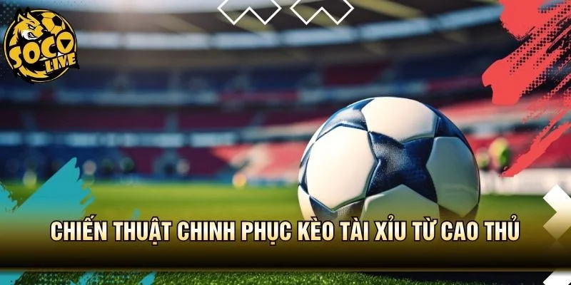 Chiến thuật chinh phục kèo tài xỉu từ cao thủ