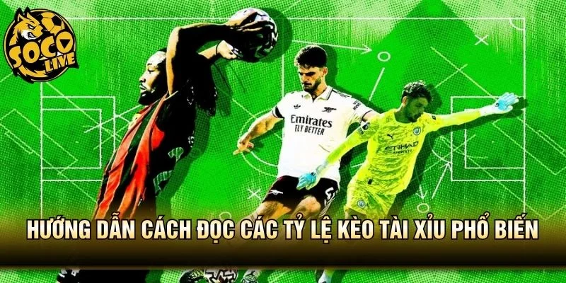 Hướng dẫn cách đọc các tỷ lệ kèo tài xỉu phổ biến