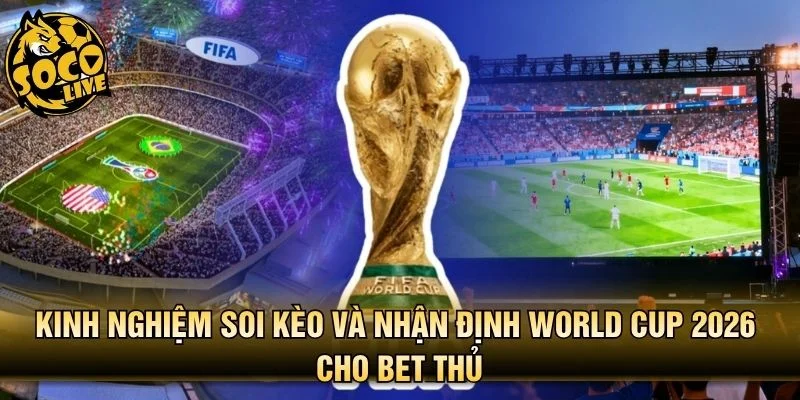 Kinh nghiệm soi kèo và nhận định World Cup 2026 cho bet thủ