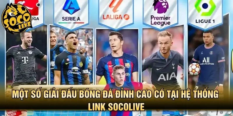 Các giải đấu bóng đá có tại hệ thống Socolive