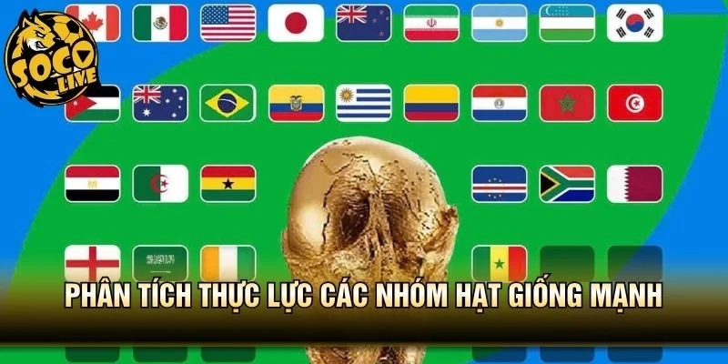 Phân tích thực lực các nhóm hạt giống mạnh