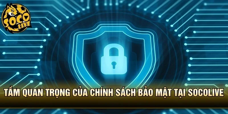 Tầm quan trọng của chính sách bảo mật tại Socolive