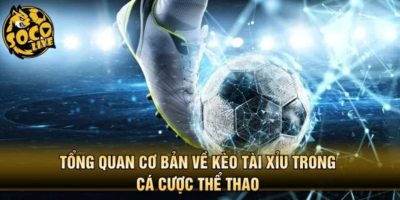 Tổng quan cơ bản về kèo tài xỉu trong cá cược thể thao